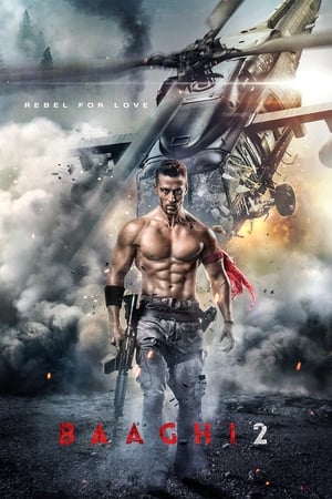 Baaghi 2 2018 Movie HDRip x264 [700MB]