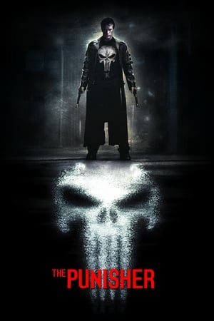 The Punisher 2004 Hindi Dual Audio 480p BluRay 380MB