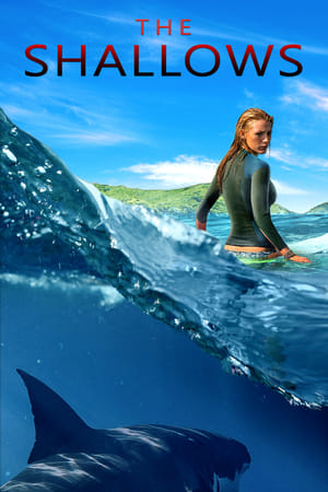 The Shallows 2016 Dual Audio (Hindi) 720p [1GB]